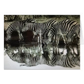 Zebras at Watering Hole (Front Horizontal)