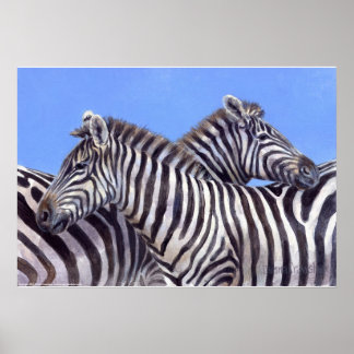 Zebras by Donna Crawshaw Poster