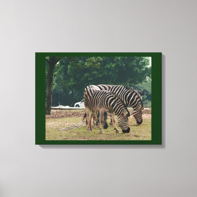 Zebras Canvas Print (Front)