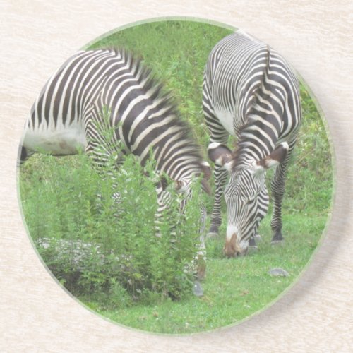 Zebras Coaster