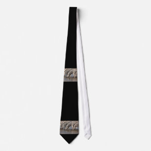 Zebras drinking neck tie
