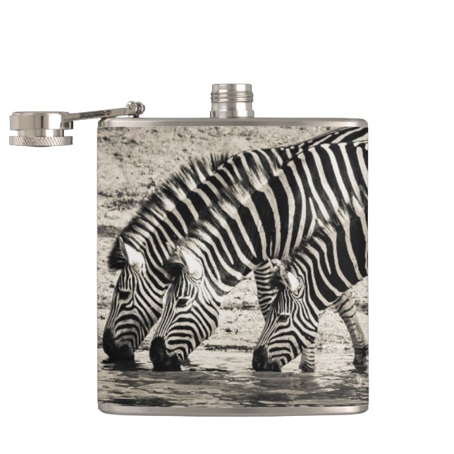 Zebras Flask (Opened)