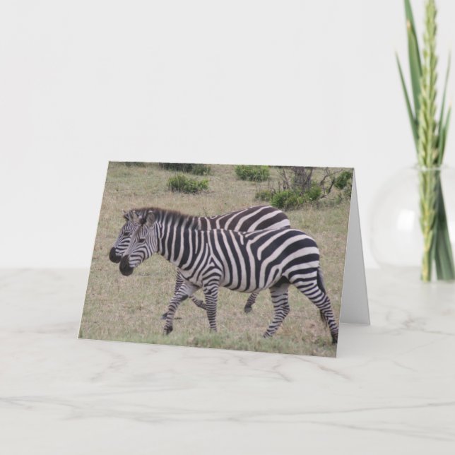 zebras forever holiday card (Front)