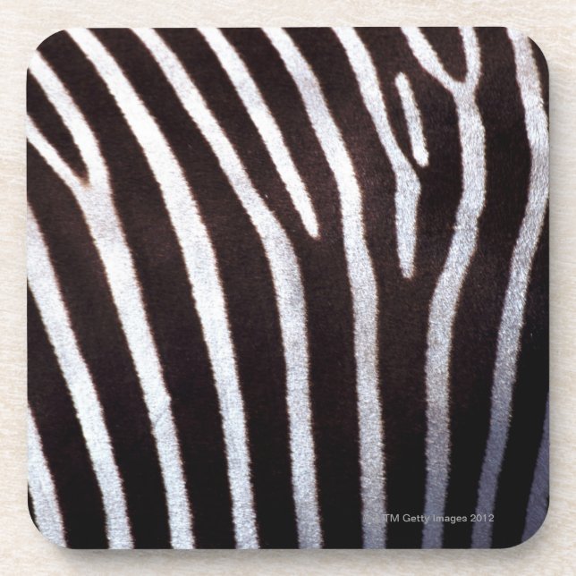 zebra's hide beverage coaster (Front)