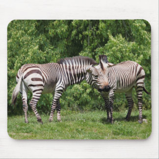 Zebras in Love Mousemat Mouse Pad