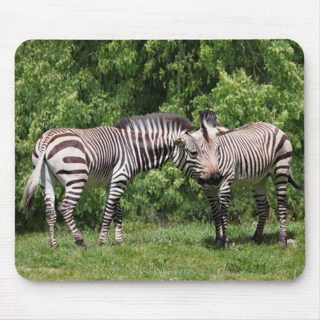 Zebras in Love Mousemat Mouse Pad (Front)