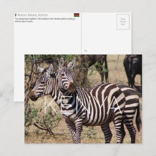 Zebras in Masai Mara, Kenya Travel Postcard