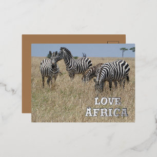 Zebra's in the Wild Foil Holiday Post Card