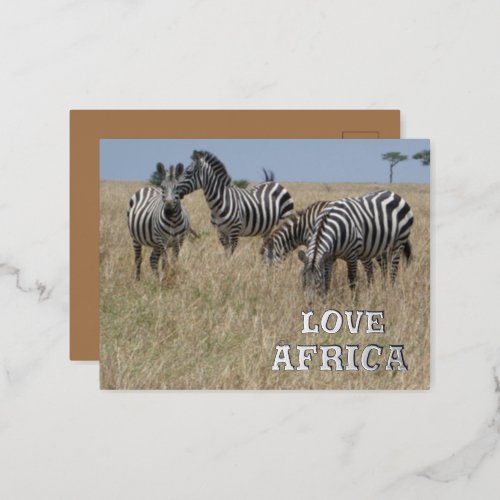 Zebras in the Wild Foil Holiday Post Card