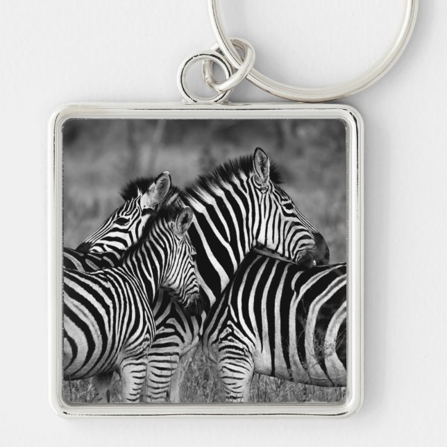Zebras Keychain (Front)
