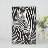 Zebras love_ (Standing Front)