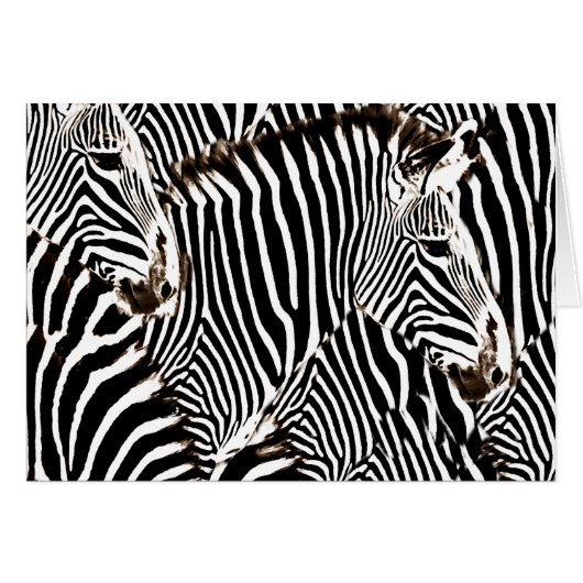 Zebras love_ cards (Front Horizontal)