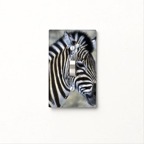 Zebras Lovers Art Light Switch Cover