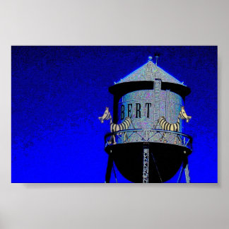 Zebra's on sponl poster