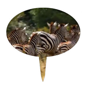 Zebras on the Move: A Journey of a Thousand Miles Cake Topper