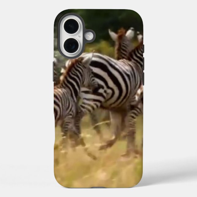 Zebras on the Move: A Journey of a Thousand Miles  Case-Mate iPhone Case (Back)