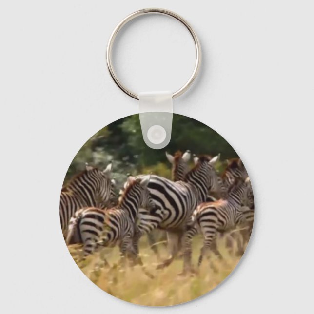 Zebras on the Move: A Journey of a Thousand Miles Keychain (Front)