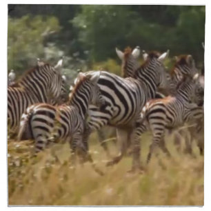 Zebras on the Move: A Journey of a Thousand Miles Napkin