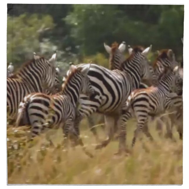 Zebras on the Move: A Journey of a Thousand Miles Napkin (Front)