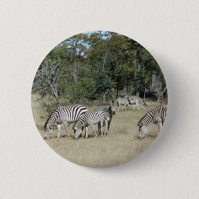 Zebras Pinback Button (Front)