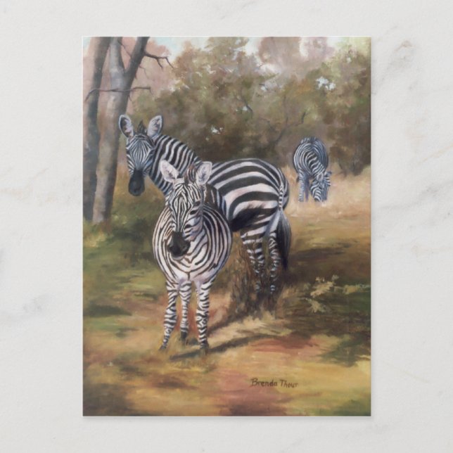 Zebras Postcard (Front)