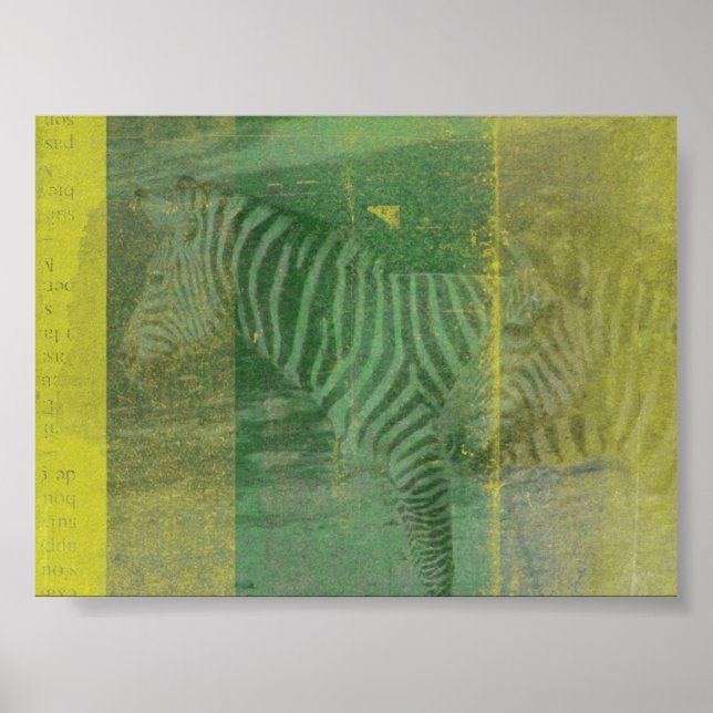 zebras poster (Front)