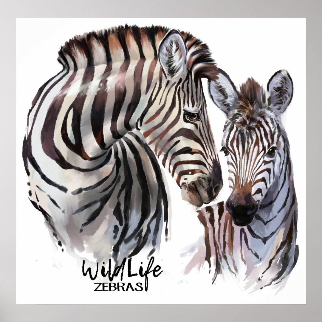 Zebras Poster | Zazzle