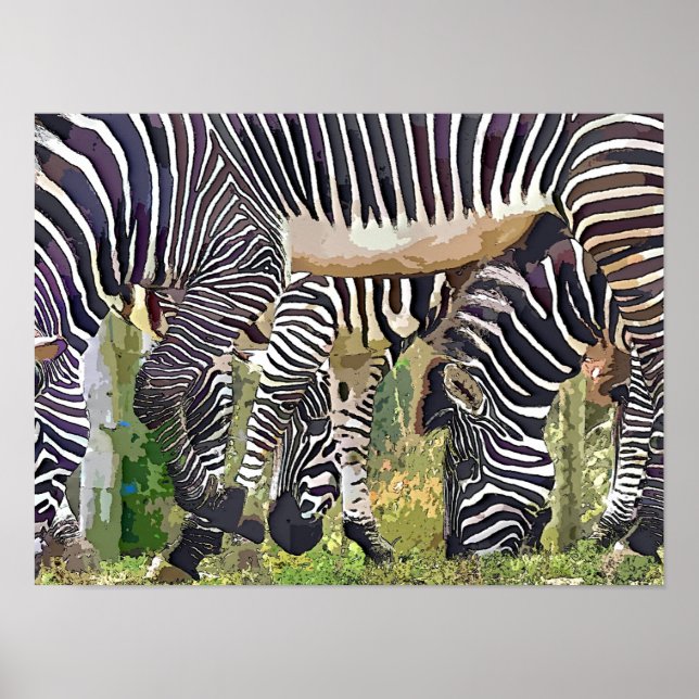 ZEBRAS POSTER (Front)