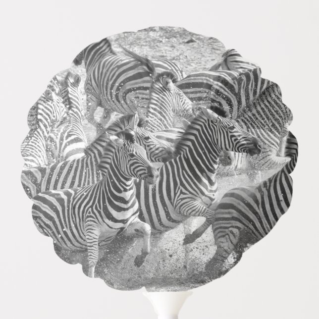 Zebras running balloon (Front)