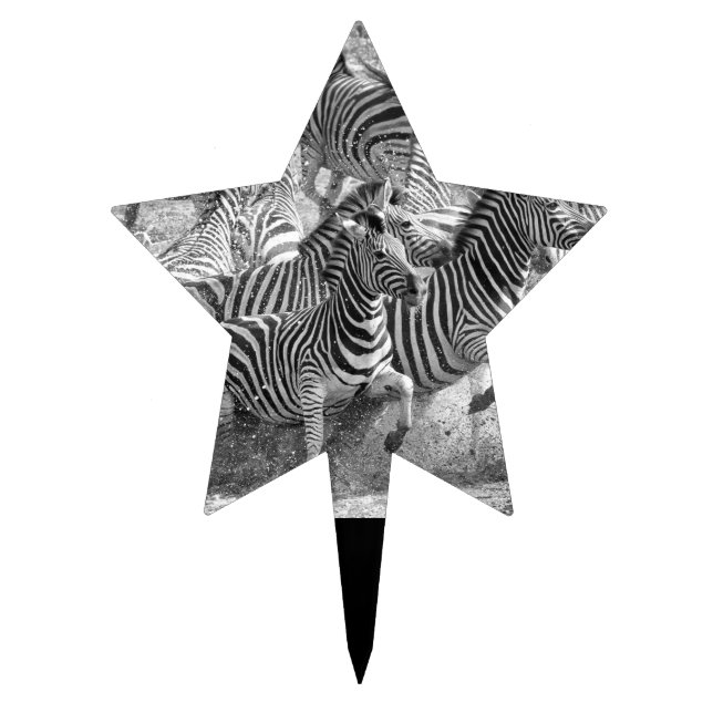 Zebras running cake topper (Front)