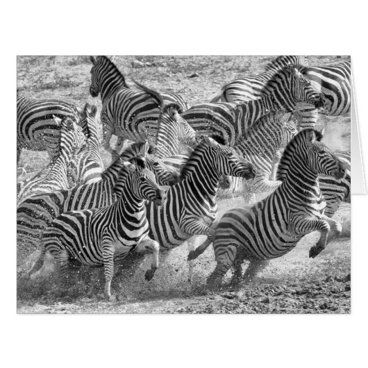 Zebras running cards (Front Horizontal)