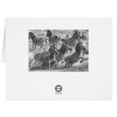 Zebras running cards (Back Horizontal)