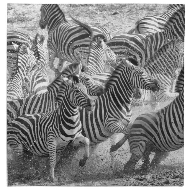Zebras running cloth napkin (Front)