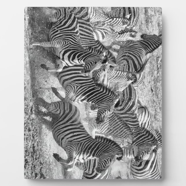 Zebras running plaque (Front)