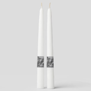 Zebras running taper candle