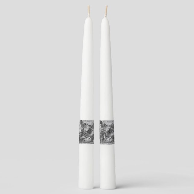 Zebras running taper candle (Front)