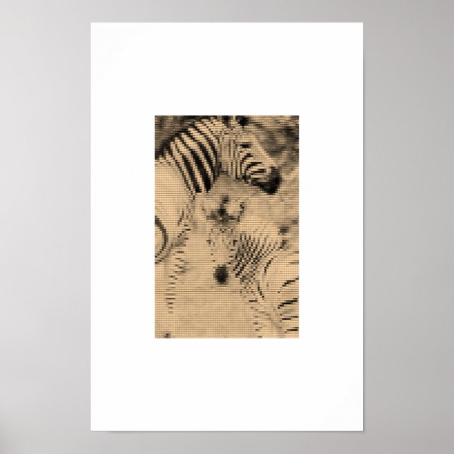 Zebrix Poster (Front)