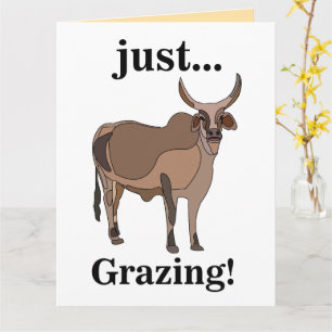 Zebu Cattle Cow Animal Card