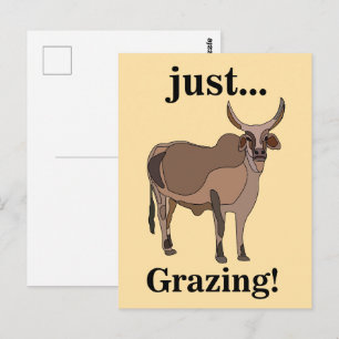 Zebu Cattle Cow Animal Postcard