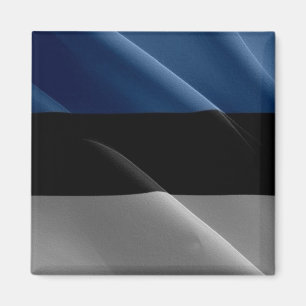 zEE002 ESTONIAN waving FLAG Estonia - Fridge Magnet