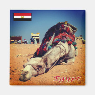 zEG021 EGYPT, Camel, Africa, Fridge Magnet