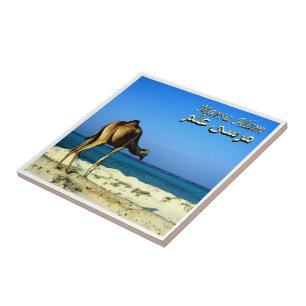 zEG047 MARSA ALAM, Red Sea, Egypt, Ceramic Tile