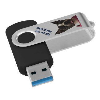 Zelda The Fearless Zip Drive