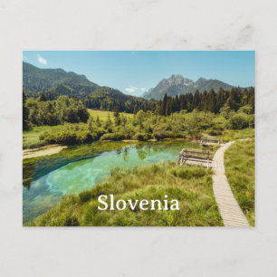 Zelenci Nature Reserve, Slovenia Photo Postcard