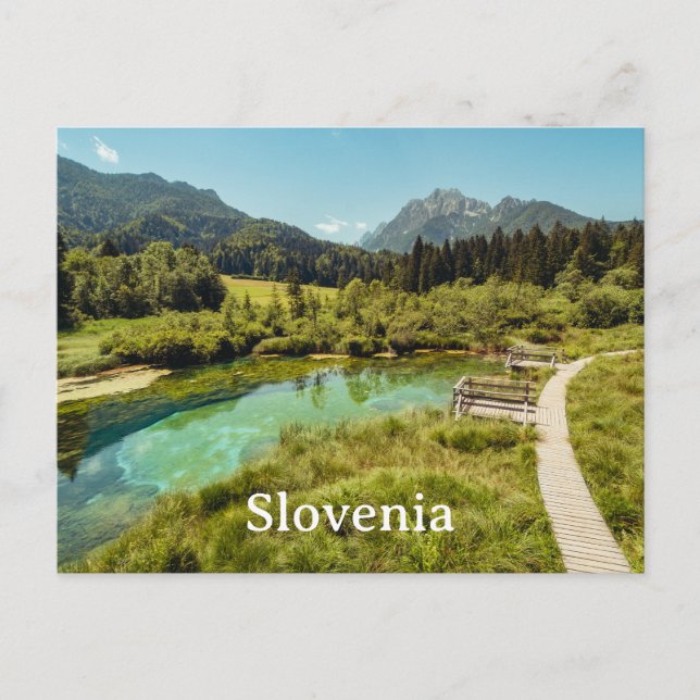 Zelenci Nature Reserve, Slovenia Photo Postcard (Front)