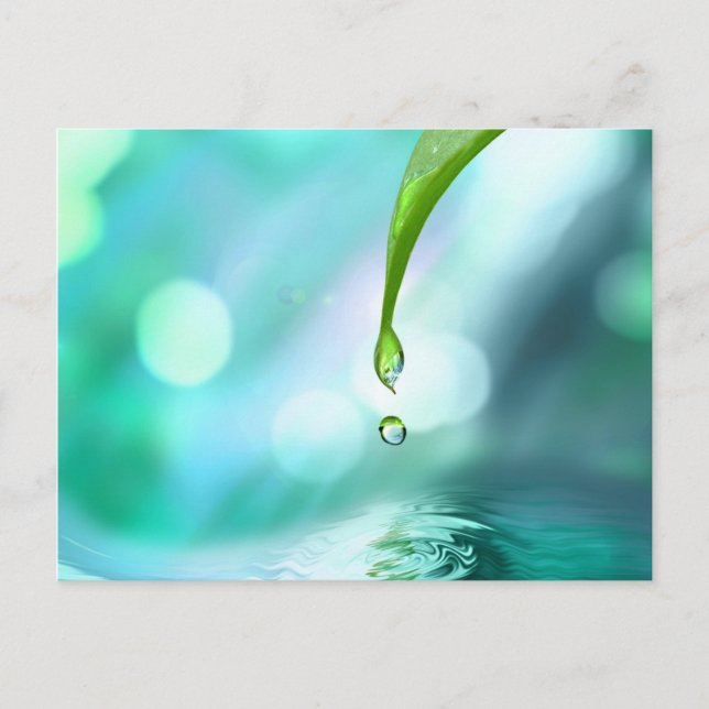 zen 4 postcard (Front)