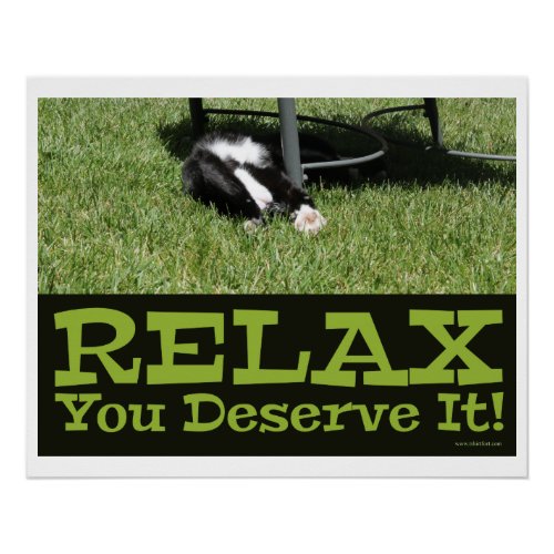 Zen and being a Cat Relax Slogan Poster