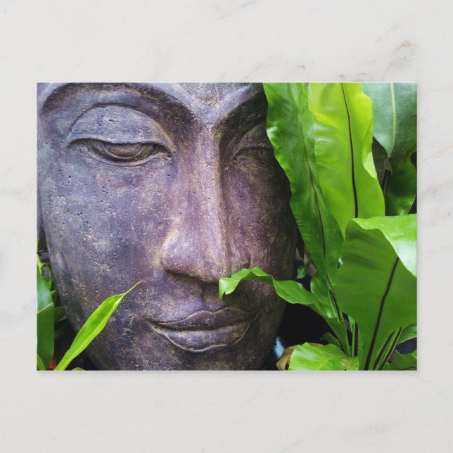 Zen Buddha Serenity Postcard (Front)