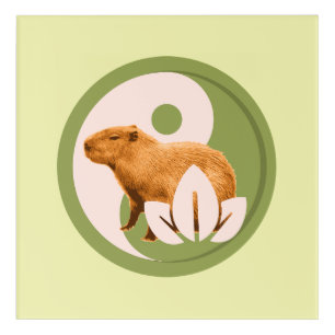 Zen Capybara Yin Yang Peaceful Nature Acrylic Print