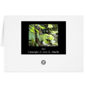 Zen Card (Back Horizontal)